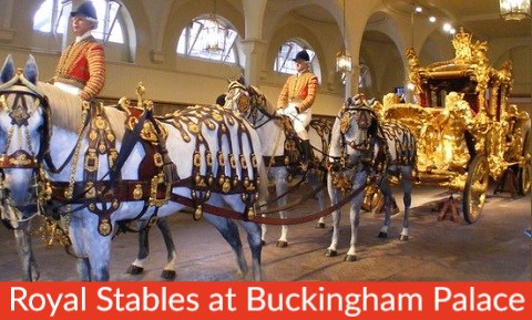Family London Tours London Attraction Small Royal Stables